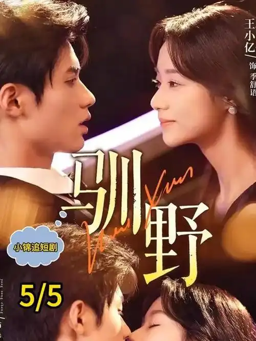 长剧集数缩水 行业观察